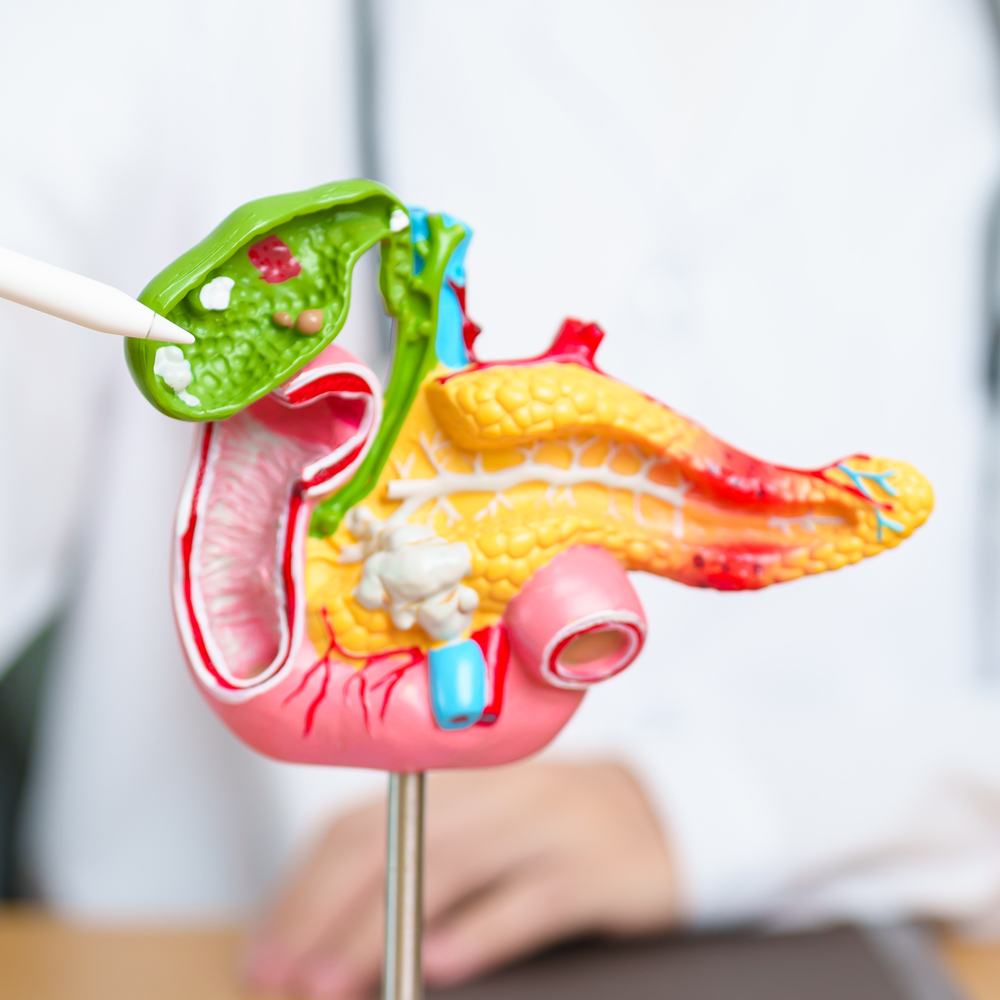 Pancreas