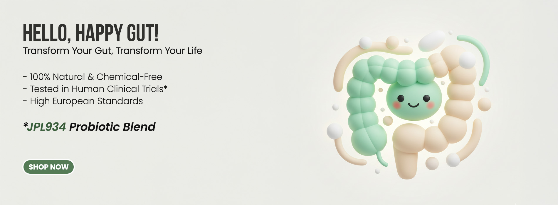 livlively Brand_website banner