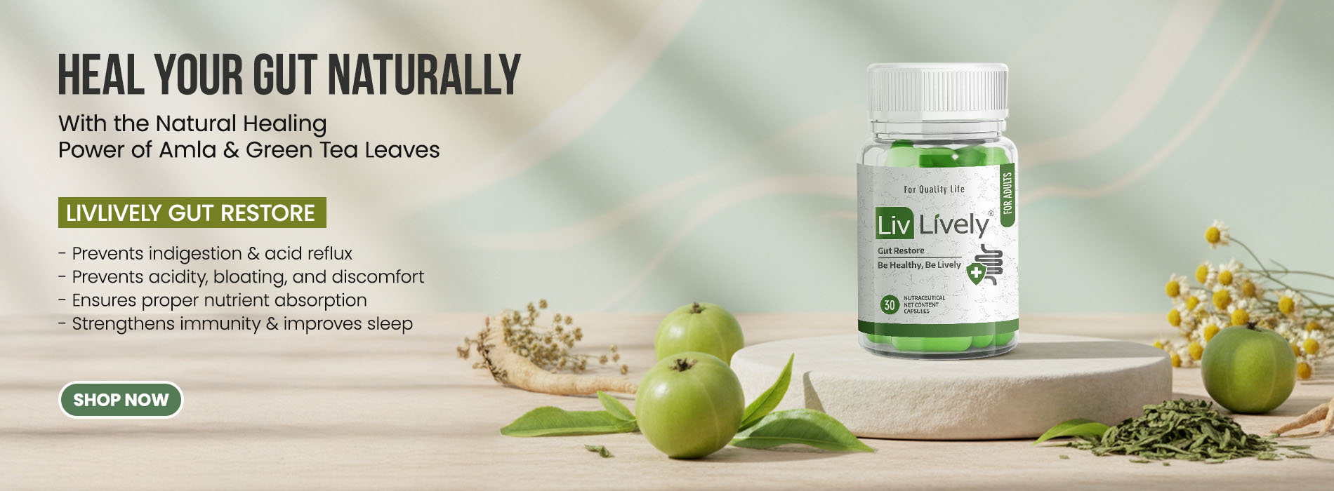 livlively Gut Restore_website banner