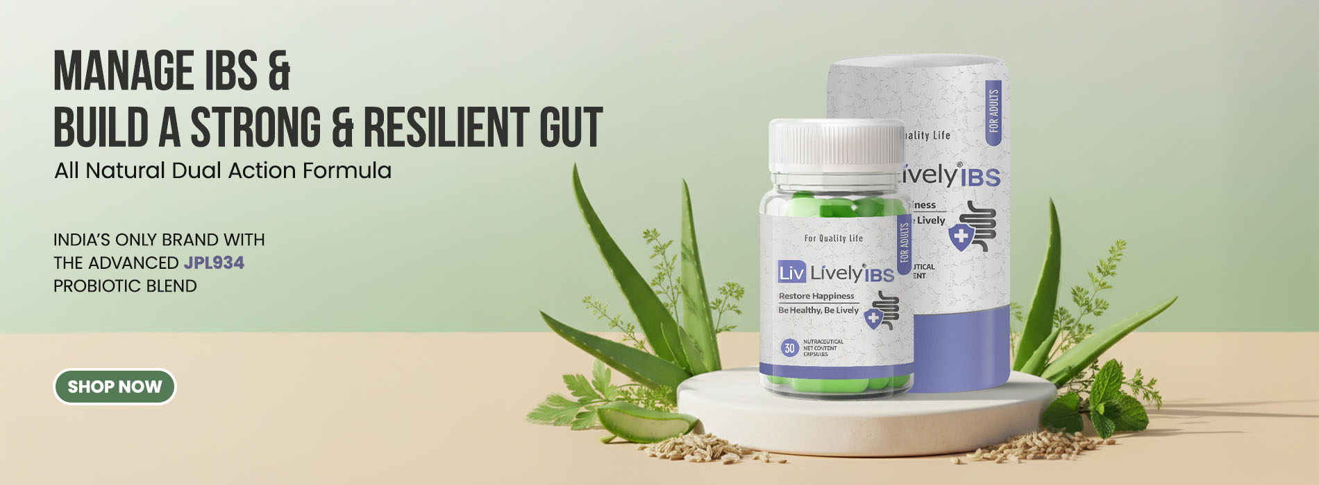 livlively IBS Kit_website banner